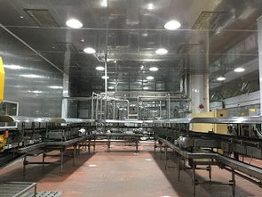qs食品厂净化灌注车间