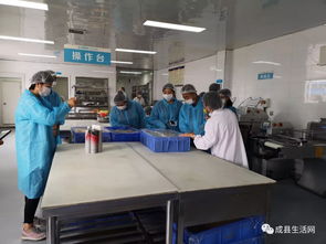 近日,陇南生活网团队观摩成县优点食品厂