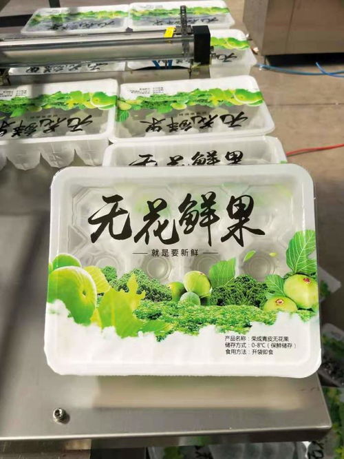 盒装快餐料理包真空包装封口机 酱菜封盒封碗包装机