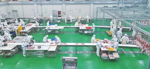 庆阳:草畜盛 产业旺