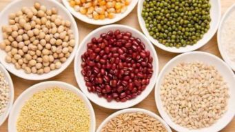 豆类食品中含有淀粉吗