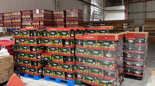 天津食品集团前线指挥部进驻津南 精准保障百姓生活物资