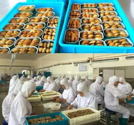 辽宁大连华富打造“三同”罐藏食品，保障百姓餐桌安全