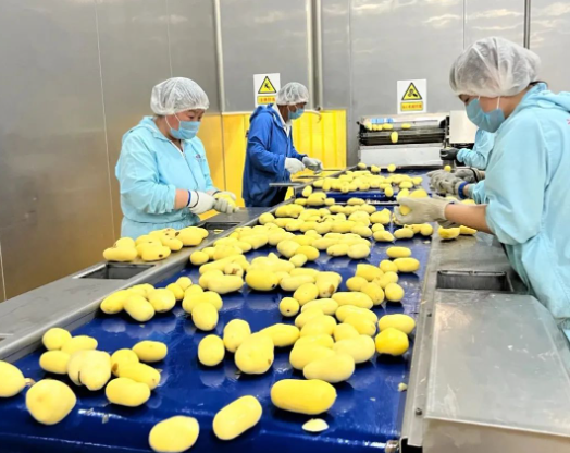 福满兴食品厂正式投产，助力食品行业新发展